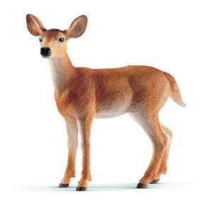 SHL14819 - Virginia-Hirsch