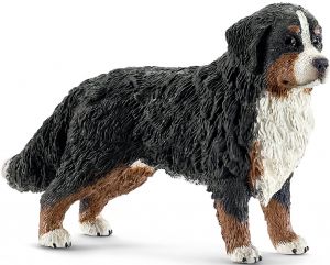 SHL16397 - Berner Sennenhund weiblich
