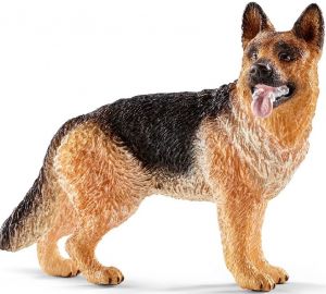SHL16831 - Deutscher Schäferhund
