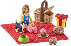 SHL42426 - Geburtstag Picknick
