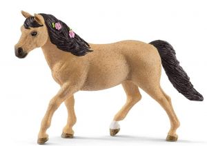 SHL13863 - Connemara Pony weiblich