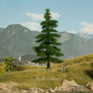 NOC21811 - Nordmannbaum 14;5 cm