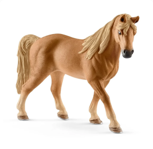 SHL13833 - Tennessee-Walker-Stute