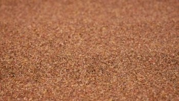 NOC00091 - Braune Kiesmatte – 100 x 60 cm