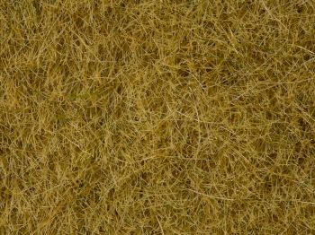 NOC07091 - Dose gelbe Beflockung 100g 6mm