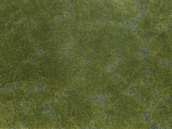 NOC07252 - Gemüselaub; dunkelgrün 12x18 cm