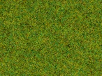 NOC08200 - Frühlingswiesengräser - 1;5 mm - 20 g