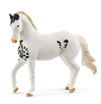 SHL14898 - Marwari-Hengst
