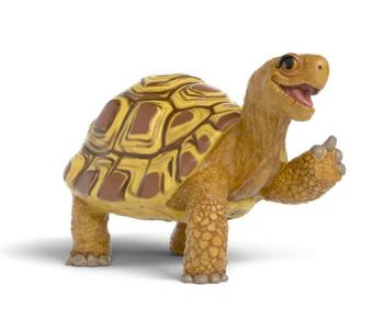 SHL14910 - Henrietta die Schildkröte – Schule für magische Tiere