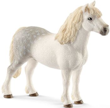 SHL13871 - Männliches walisisches Pony