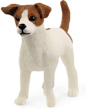 SHL13916 - Jack Russell Terrier