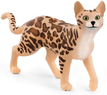 SHL13918 - Bengalkatze