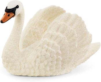 SHL13921 - Schwan