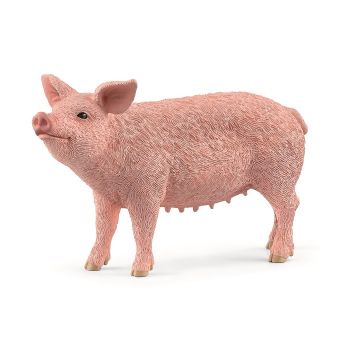 SHL13933 - Schwein