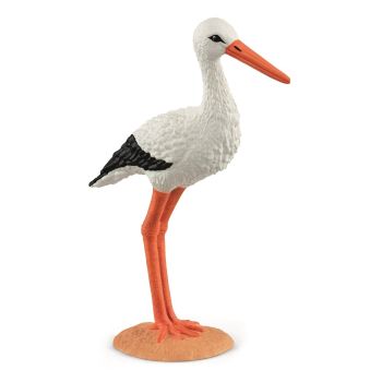 SHL13936 - Storch