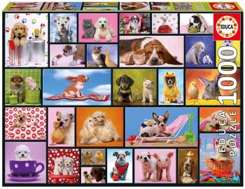 EDU15518 - Geteilte Momente 1000 Teile Puzzle