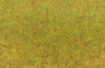 HEK3371 - Beutel 75 g wildes Herbstgras 5-6 mm