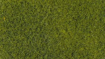 HEK3364 - 50 g Beutel mit 2-3 mm hellgrüner Beflockung