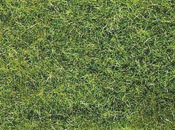HEK3377 - Beutel 50 g Sommergras XL 10 mm