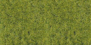 HEK3368 - Beutel 75 g grünes Wildgras von Waldboden 5-6 mm
