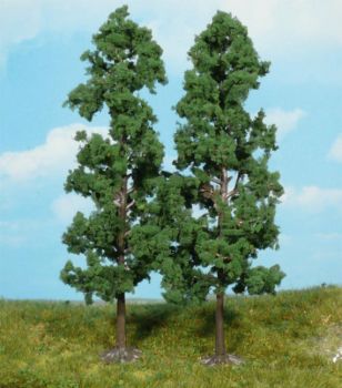 HEK1130 - 2 Buchen 18 cm