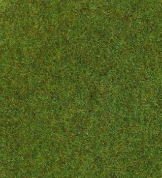 HEK30911 - Dunkelgrüner Rasenteppich – 75 x 100 cm