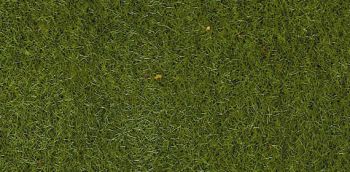 HEK3365 - 50 g Beutel mittelgrüne Beflockung 2-3 mm