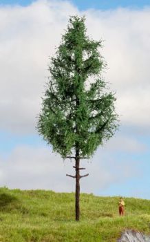 NOC20196 - Hochstamm-Fichte, 21 cm