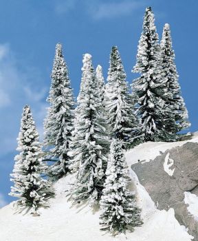 HEK2161 - 8 Tannen mit Schnee 7-12 cm