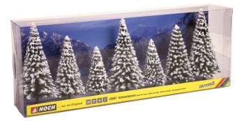 NOC25087 - 7 schneebedeckte Tannen