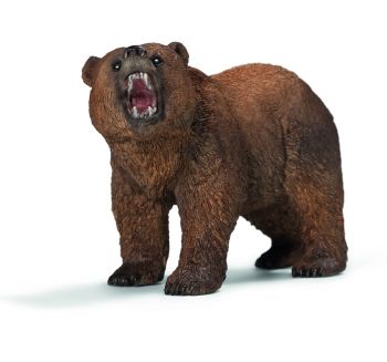 SHL14685 - Grizzlybär