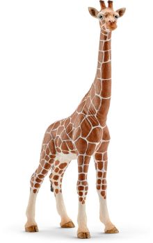 SHL14750 - weibliche Giraffe