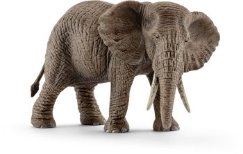 SHL14761 - weiblicher afrikanischer elefant