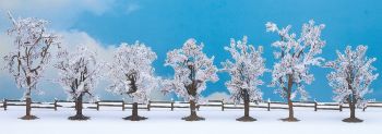 NOC25075 - 7 Winterbäume 8 bis 10 cm