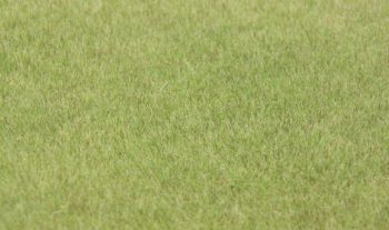 HEK33541 - Grasbeflockung 75 g. 5-6mm