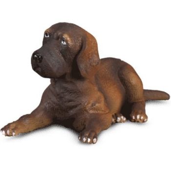 COLL88065 - Liegender Dogge-Welpe