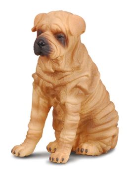 COLL88193 - Sharpei-Hund