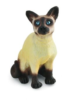 COLL88331 - Sitzende siamesische Katze