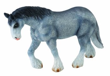 COLL88389 - Clydesdale Horse