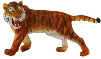 COLL88410 - Tiger