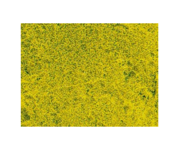 HEK1593 - Rapsblumenwiese Grasteppich 28 x 14 cm