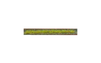 HEK1810 - Packung mit 10 Frühlingsgrasstreifen 10 cm