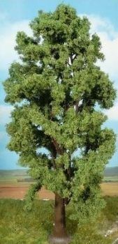 HEK1743 - Bergahorn 35 cm