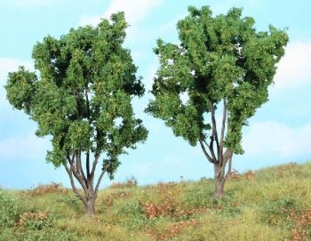 HEK1772 - Mimosen 13 cm