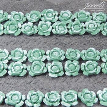 JUW23363 - 36 Kohl/Salate