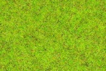 NOC08300 - Gras mittelgrün - 2;5 mm - 20 g
