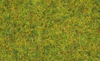 NOC08310 - Sommerwiesengras - 20 g - 2;5 mm