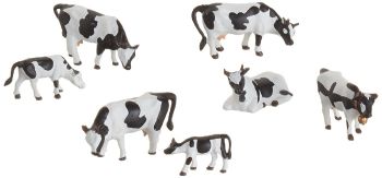 NOC15721 - Schwarze und weiße Kühe