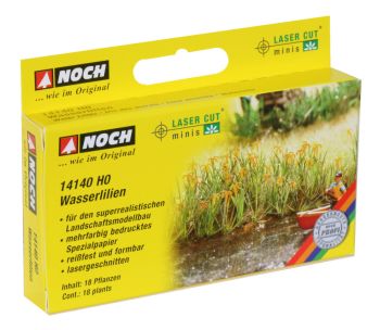 NOC14140 - 18 Sumpfschwertlilien