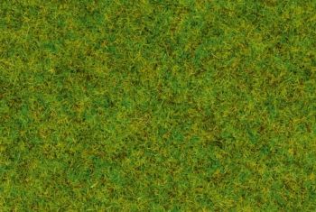 NOC50210 - Gras; mittelgrün - 100 g - 2;5 mm